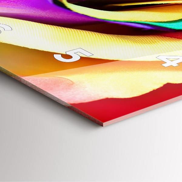 Szögletes fali üvegóra Szivárvány rózsa