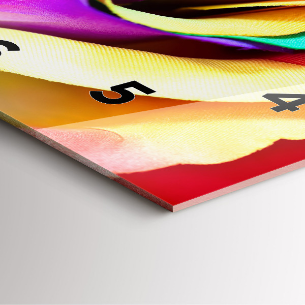 Szögletes fali üvegóra Szivárvány rózsa