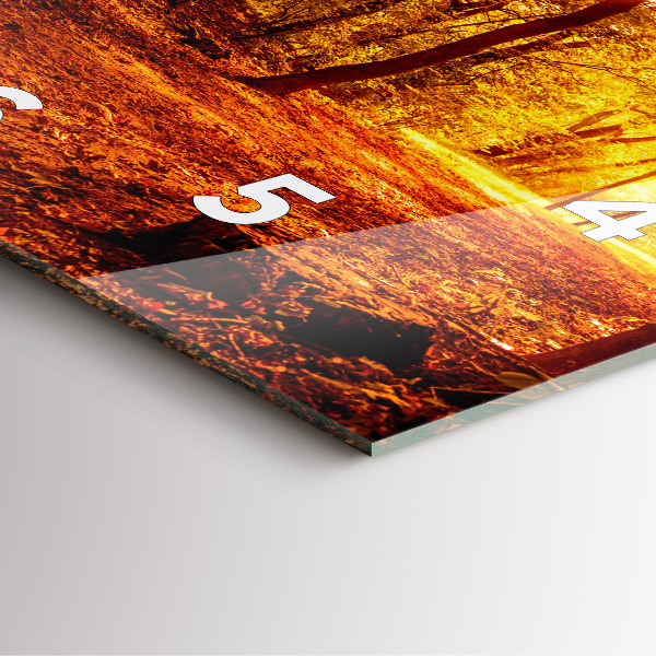 Szögletes fali üvegóra Erdei táj a napon