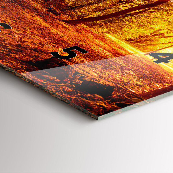 Szögletes fali üvegóra Erdei táj a napon