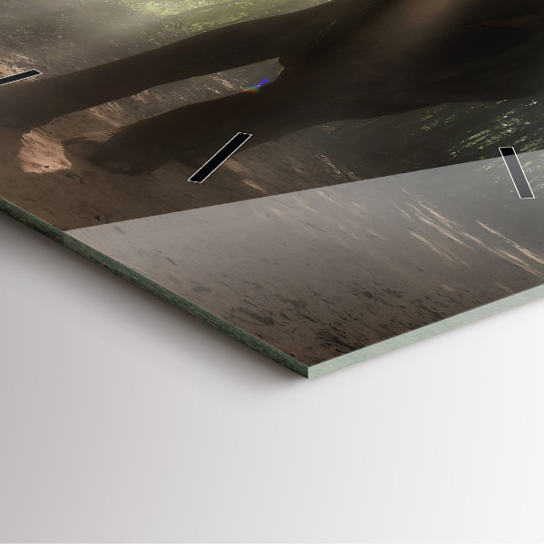 Szögletes fali üvegóra Elefánt a dzsungelben