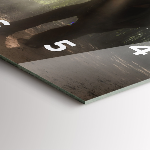 Szögletes fali üvegóra Elefánt a dzsungelben