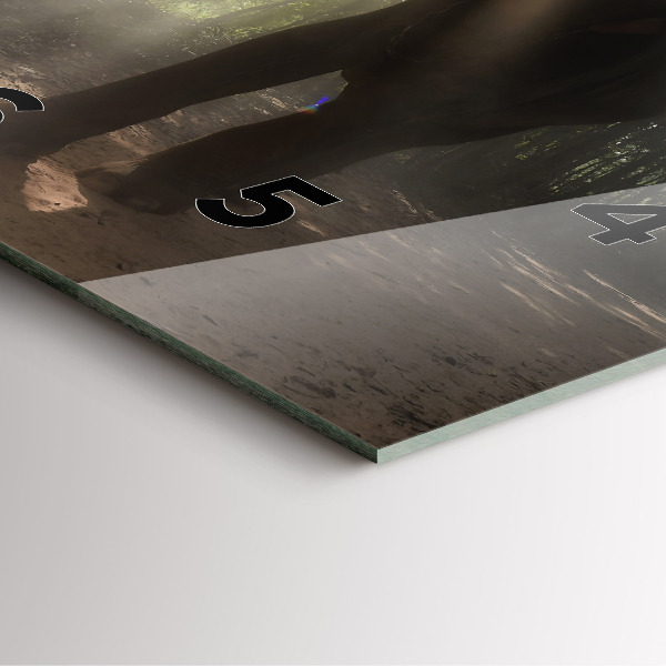 Szögletes fali üvegóra Elefánt a dzsungelben