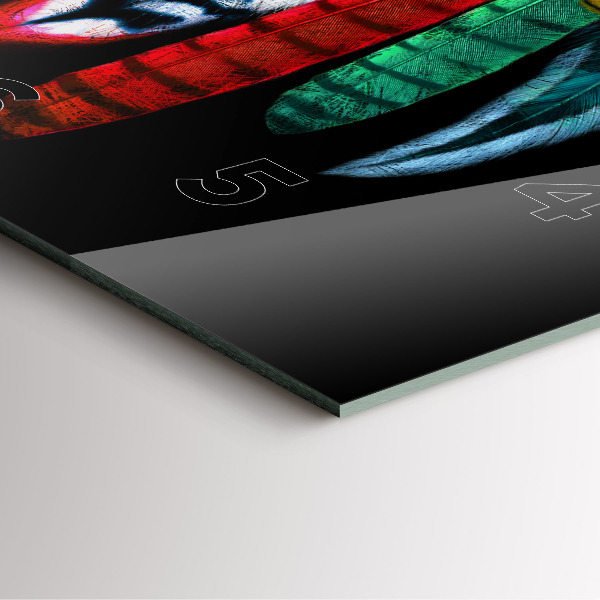 Szögletes fali üvegóra Színes madártollak