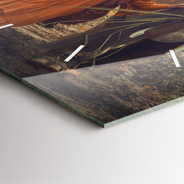 Szögletes fali üvegóra Szerzetes vezető elefánt