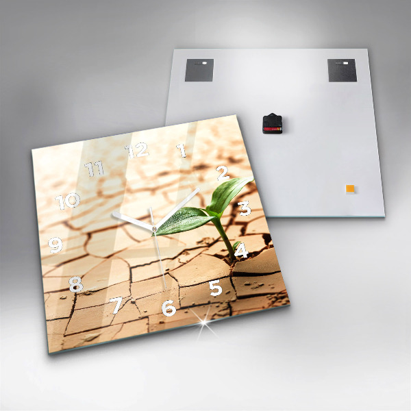 Szögletes fali üvegóra Száraz talajba ültessük