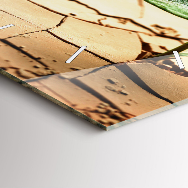 Szögletes fali üvegóra Száraz talajba ültessük