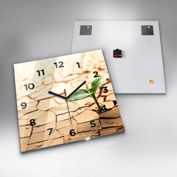 Szögletes fali üvegóra Száraz talajba ültessük