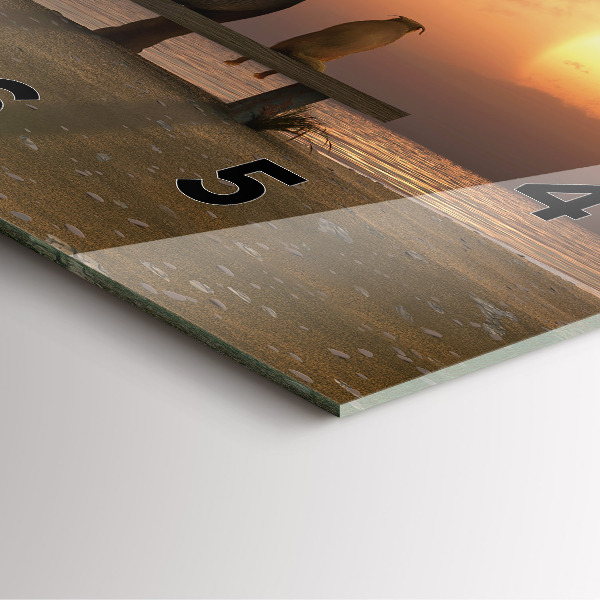 Szögletes fali üvegóra Állatok és naplemente