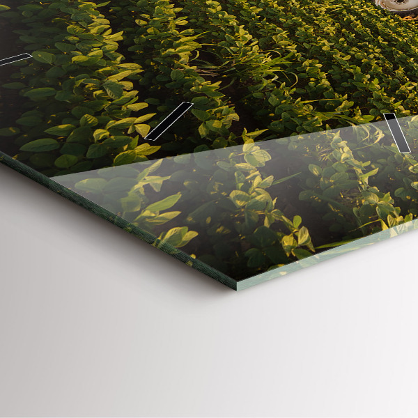 Szögletes fali üvegóra Traktor egy mezőgazdasági területen