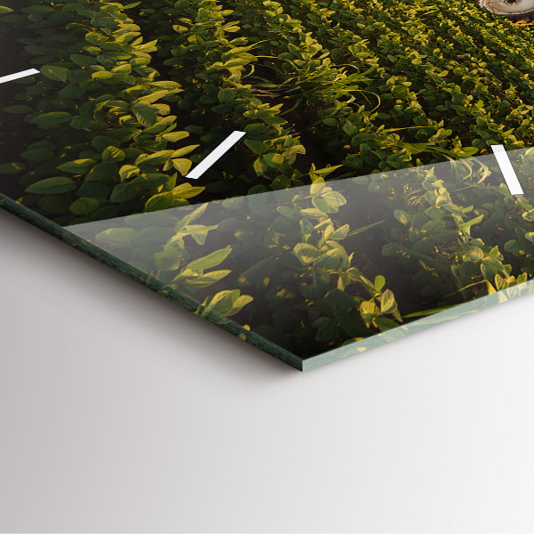 Szögletes fali üvegóra Traktor egy mezőgazdasági területen