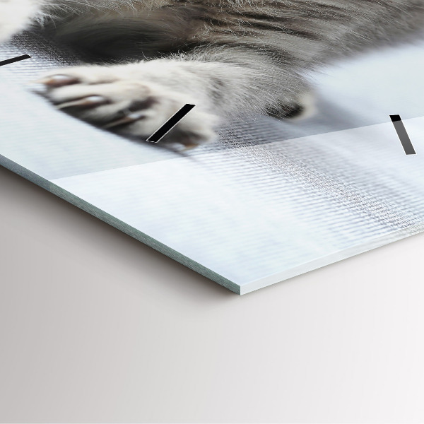 Szögletes fali üvegóra Macska a kanapén