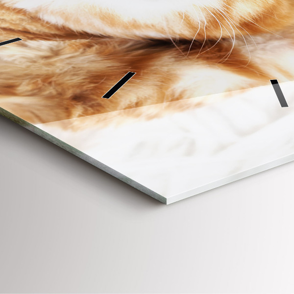 Szögletes fali üvegóra Alvó kis cica