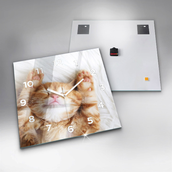 Szögletes fali üvegóra Alvó kis cica