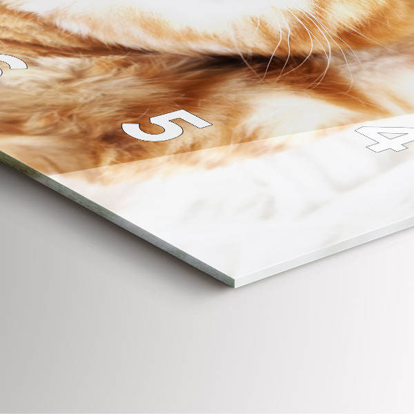 Szögletes fali üvegóra Alvó kis cica