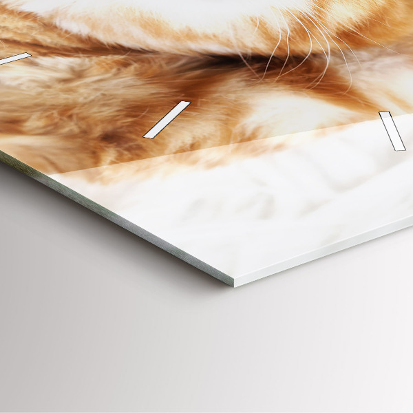 Szögletes fali üvegóra Alvó kis cica