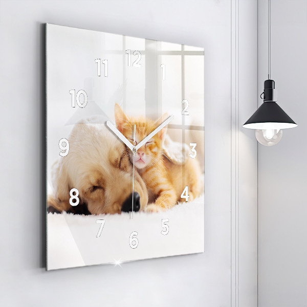 Szögletes fali üvegóra Alvó macska és kutya