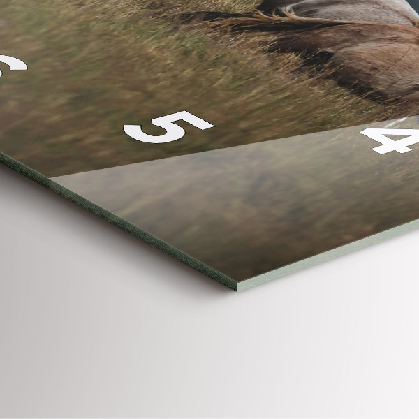 Szögletes fali üvegóra Lovak vágtában