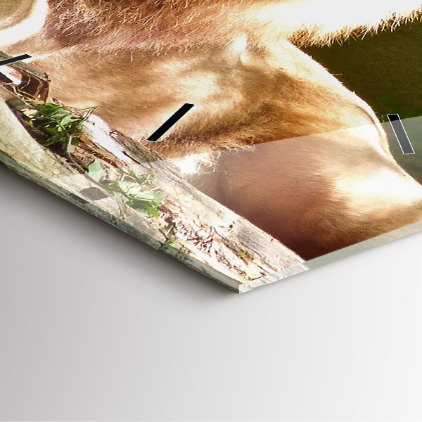 Szögletes fali üvegóra Oroszlán portréja