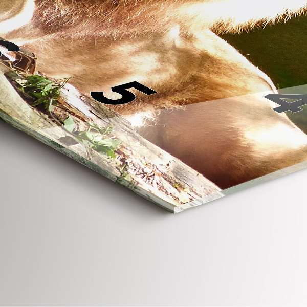 Szögletes fali üvegóra Oroszlán portréja