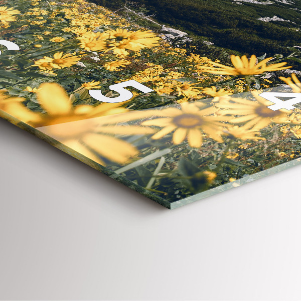 Szögletes fali üvegóra Réti virágok a hegyekben