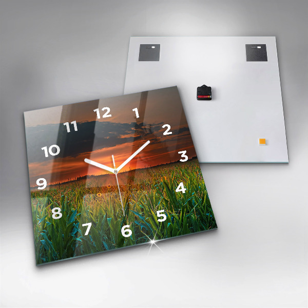 Szögletes fali üvegóra Napraforgó a réten