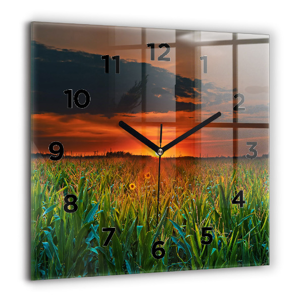 Szögletes fali üvegóra Napraforgó a réten