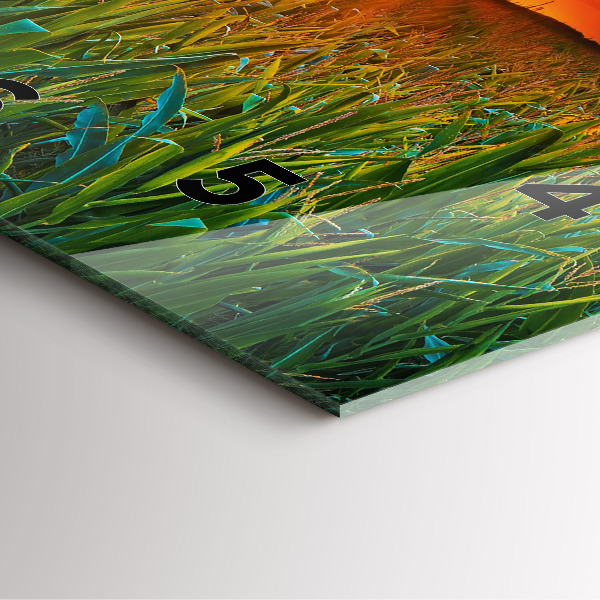 Szögletes fali üvegóra Napraforgó a réten