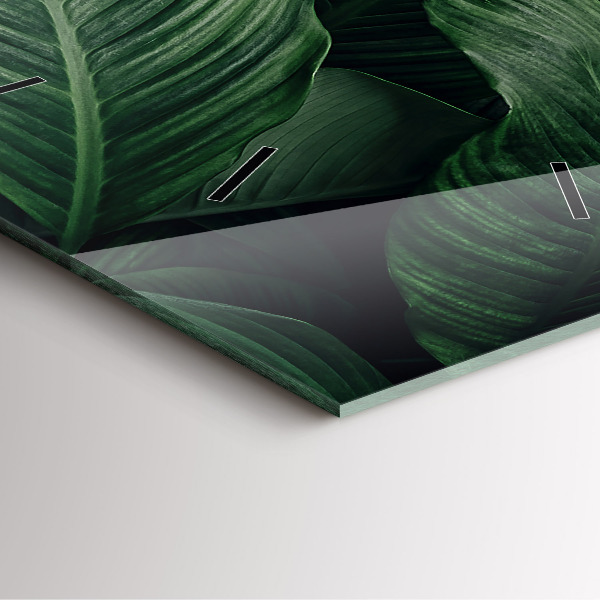 Szögletes fali üvegóra Trópusi szörny