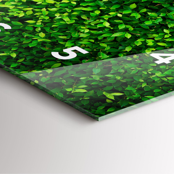 Szögletes fali üvegóra Sövénylevelek