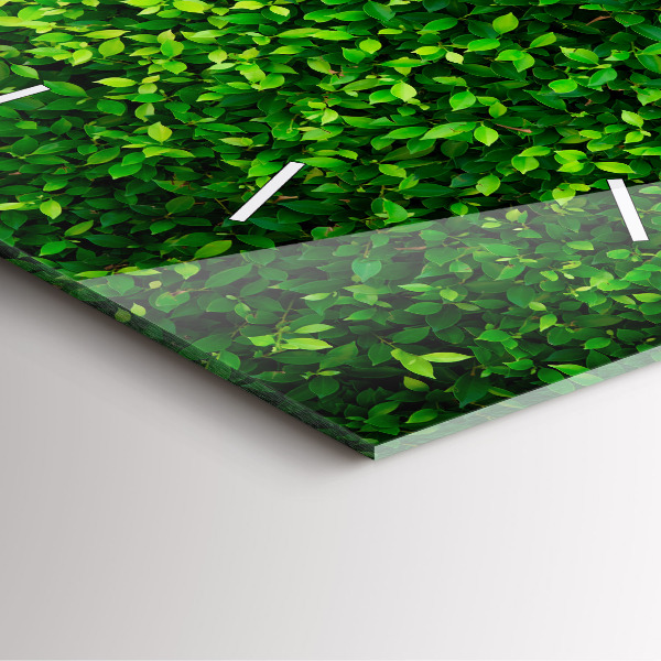 Szögletes fali üvegóra Sövénylevelek