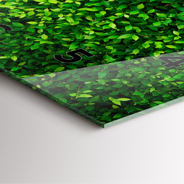 Szögletes fali üvegóra Sövénylevelek