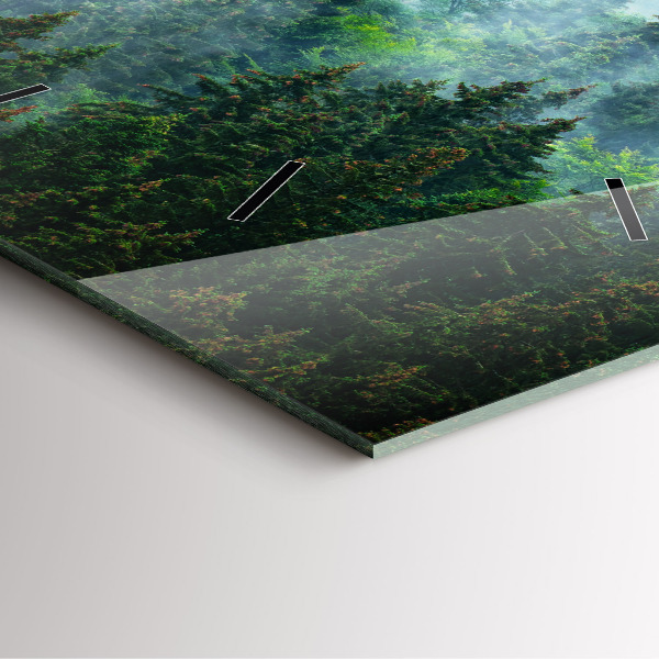 Szögletes fali üvegóra Ködös erdő