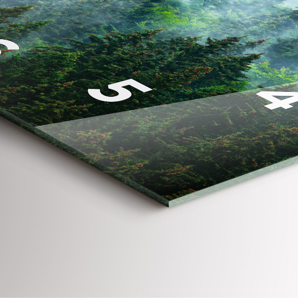 Szögletes fali üvegóra Ködös erdő