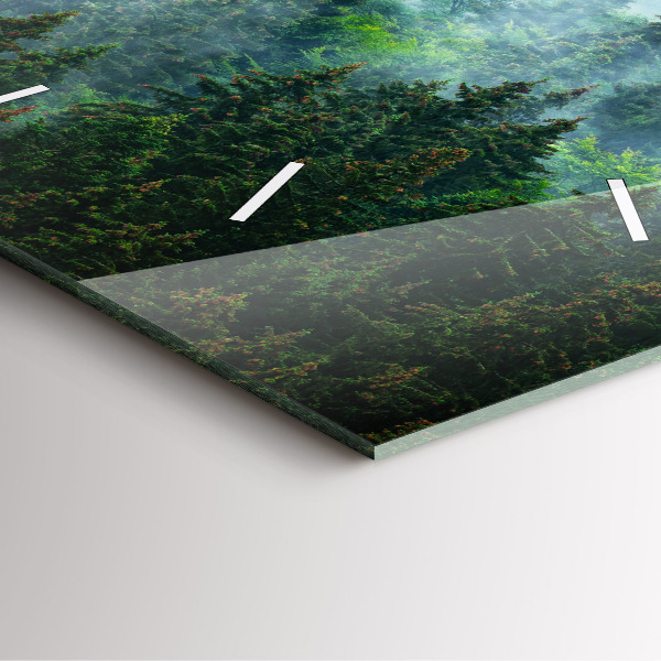 Szögletes fali üvegóra Ködös erdő