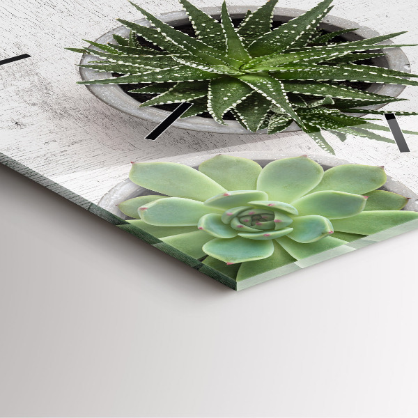 Szögletes fali üvegóra Dísznövények