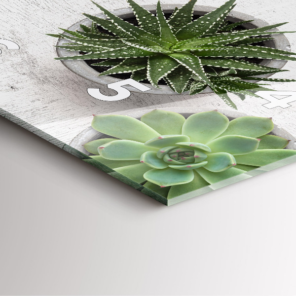 Szögletes fali üvegóra Dísznövények