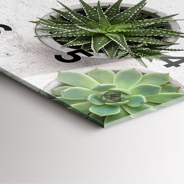 Szögletes fali üvegóra Dísznövények