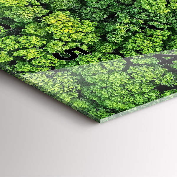 Szögletes fali üvegóra Erdő felülről