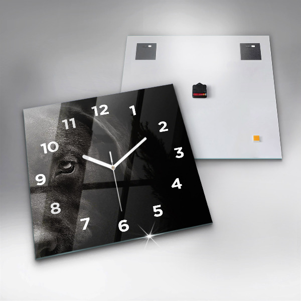 Szögletes fali üvegóra Scottish Fold kutya és macska