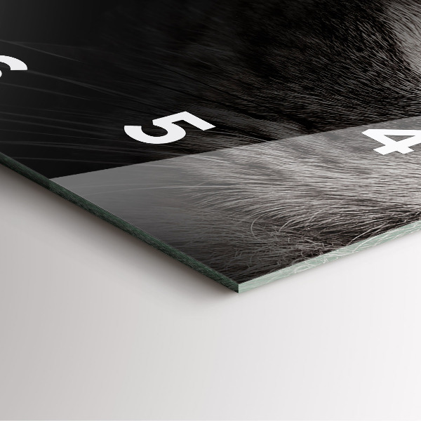 Szögletes fali üvegóra Scottish Fold kutya és macska