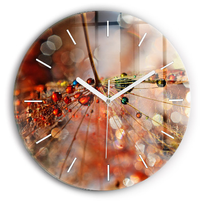 Kerek fali üvegóra Pitypang harmattal