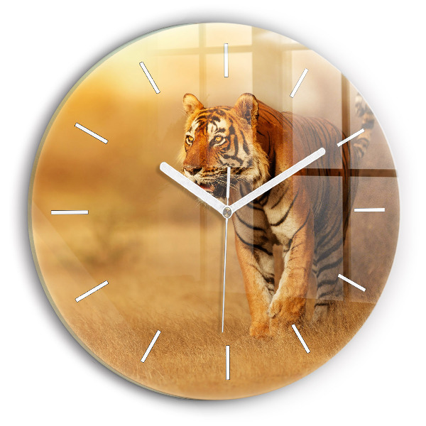 Kerek fali üvegóra Vadásztigris