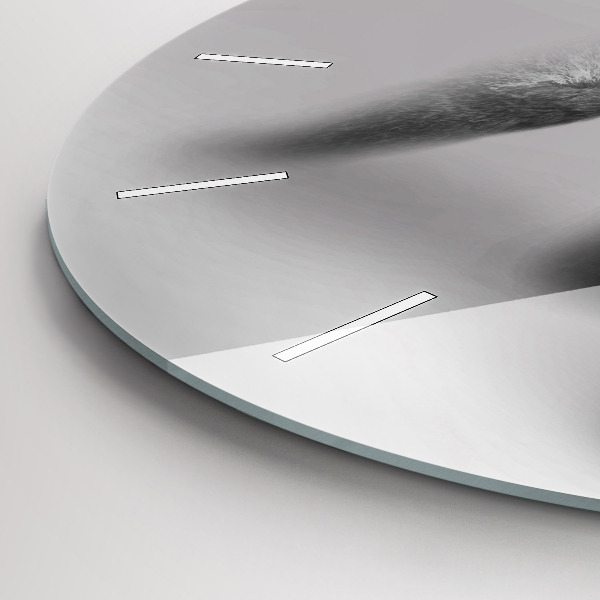 Kerek fali üvegóra Állatművészeti gyűjtemény