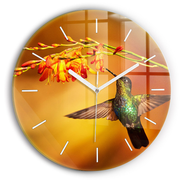 Kerek fali üvegóra Kolibri madár