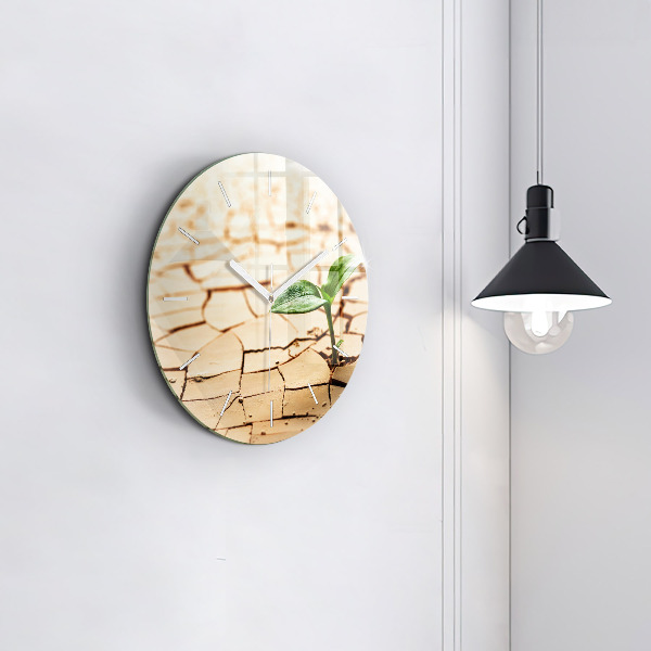 Kerek fali üvegóra Száraz talajba ültessük