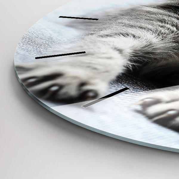 Kerek fali üvegóra Macska a kanapén