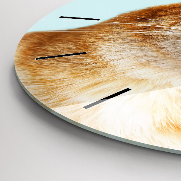 Kerek fali üvegóra Vicces macska szemüveggel