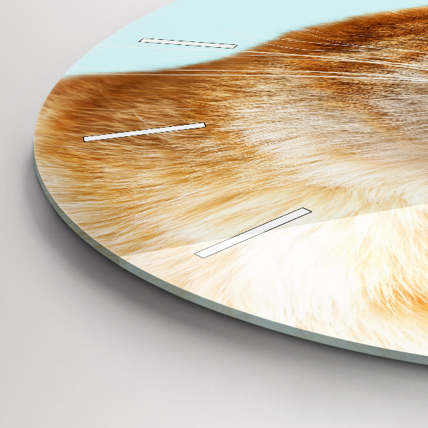 Kerek fali üvegóra Vicces macska szemüveggel