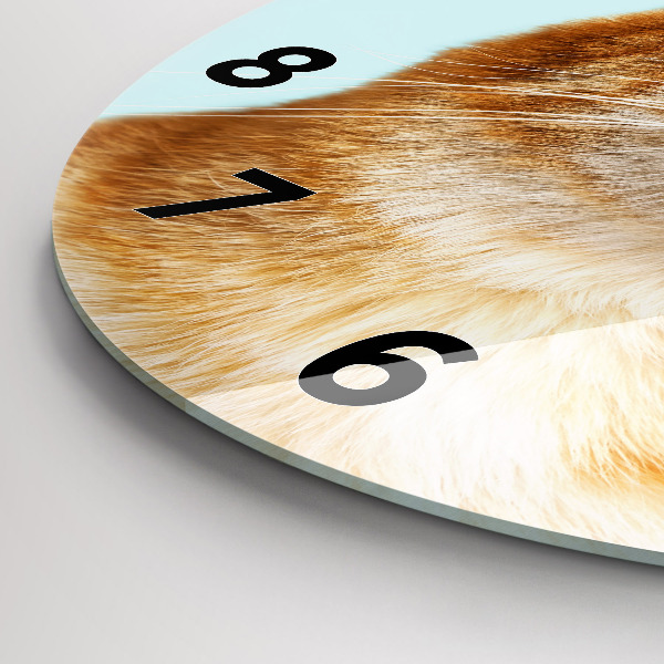 Kerek fali üvegóra Vicces macska szemüveggel